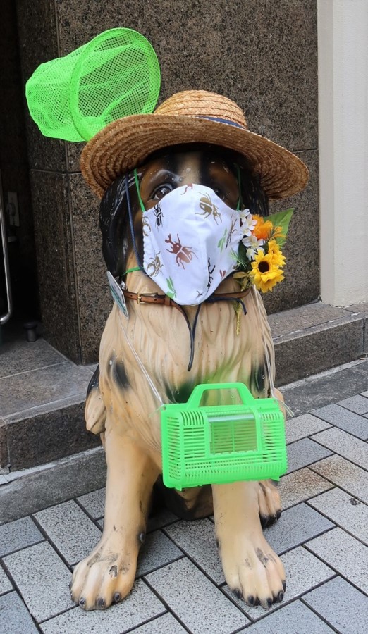 店頭のマスコット セント･バーナード